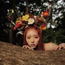 숲의 아이 이미지