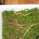 월악농장 이미지