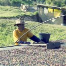 향미농장 이미지