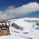 대관령 양떼목장 이미지