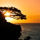 양양하조대일출펜션 이미지