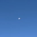 스시피아 이미지