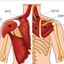 바디토크짐 이미지