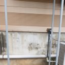 삼호부화장 이미지