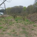 안계농협 하나로마트 이미지