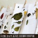 생각나무자연학교 이미지