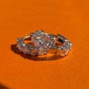 코델리아 이미지