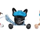 스마트심바이오 이미지