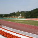 의성종합운동장 이미지