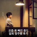 요즘 푹 빠진 중드 알희 정주행 후기