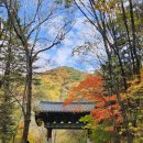 용바위들 | 설악산 단풍 보러 백담사에 다녀온 10월의 어느 날 ( 용대리 용바위식당 황태정식, 인제스피디움호텔)