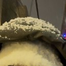 Be IN;(비인) | [원위] 제주도 공연 Be IN; 비인 빛과 어둠 사이 후기