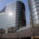 강남-229 이미지