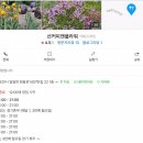 선커피앤플라워