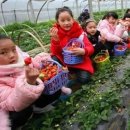 안인농장 이미지