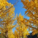 쌍이리귀바위 이미지