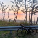 죽변운동장 이미지