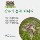 [국비지원][11/30] 쉽게하는 SNS, 블로그 온라인 마케팅(야간) | [용리단길 맛집] 능동미나리 : '점심특공대'가 발견한 맛의 반전과 감동의 미나리 탐험!