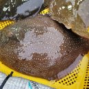 은하네집 이미지