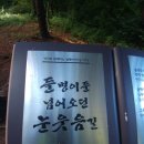 [권창순] 제72차 김유정 소설 [땡볕] 문학여행 이미지