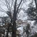 정인목장 이미지