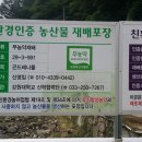 영임농장 이미지