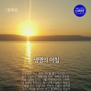 생명의 그물 1 이미지