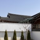 배동스테이 이미지