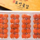 상주곶감