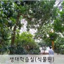 시영메디칼 이미지