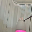 신풍바른재활의학과의원 이미지