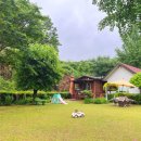 배나무실의 아침 이미지