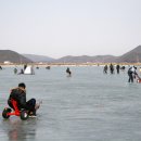 분오리 저수지 티스토리