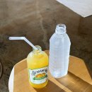 성읍리-14 | 예님스튜디오 : 제주 셀프 웨딩촬영 갓성비로 스튜디오 메이크업 드레스 스드메 해결한 후기