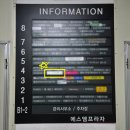 더블유(W) 고양이 미용센터 | 인천 고양이미용 W고양이미용센터 부평 무마취 미용 후기