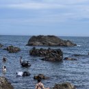 송대말펜션A | [국내/경주] 경주 시야 좋고 어종 다양한 송대말등대 스노클링 포인트 (Feat. 대중교통, 샤워장)