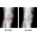 연세새봄의원 이미지