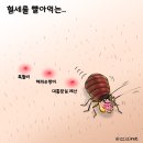 혈세 빨아먹는 용산 흡혈귀 빈대 좀 잡읍시다. 이미지