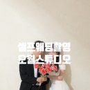 서울 셀프웨딩 드레스대여 오월스튜디오 후기 시안준비