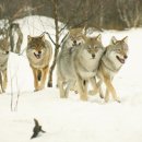 영어스크린 이미지