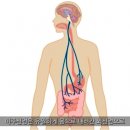 암 세포가 좋아하는 체온 35℃, 몸 속 장기의 온도 높이려면? 이미지