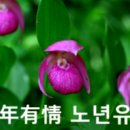 노년유정(老年有情) / 다산, 정약용 이미지