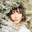 전통의 소리 경기민요 이미지