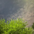 교촌치킨 선유도역점 이미지