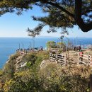 금오도 비렁길 | 11/21(금)~23(일) 여수 금오도 비렁길과 하화도 꽃섬길 여행 후기