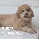 브이아이피서비스 이미지