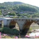 벌교우렁 이미지