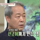 진(Chin) 이미지