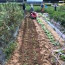 자활봉사센터 이미지