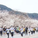 공설운동장 동편 이미지